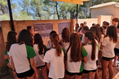 English_School_los_olivos_Bastida_Alcusses-10
