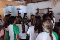 English_School_los_olivos_Bastida_Alcusses-12