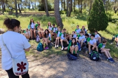 English_School_los_olivos_Bastida_Alcusses-2
