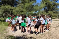 English_School_los_olivos_Bastida_Alcusses-3