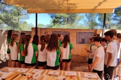 English_School_los_olivos_Bastida_Alcusses-9