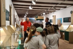 English_School_los_olivos_Olocau_Y5-1