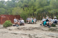 English_School_los_olivos_Olocau_Y5-2