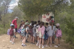 English_School_los_olivos_Olocau_Y5-5