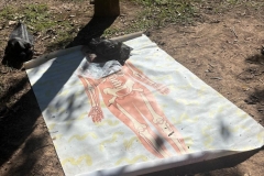 learning-experience_Los-Olivos