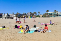 English_School_los_olivos_Patacona_Y7_Y8-2