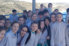 Tous-Dam_y5-Los-Olivos