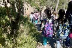 42fc367c-c843-4ee4-bab1-221c5b3a8017