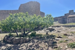 c57d232e-2f06-4d81-a456-3ddb8ce1c860