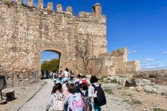 e98bde0f-546f-442b-b9e5-7698f3b22c96