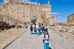 ff999ad7-8fae-4356-9e77-f657ffdae26a