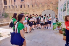 English_School_los_olivos_San_Juan_Hospital_Y9-3