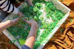 02-Taller-arte-Nursery