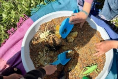 14-Taller-arte-Nursery