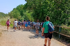 English_School_los_olivos_terihuela_Y5_Y6-14