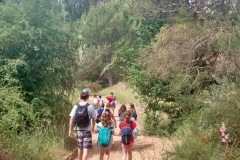 English_School_los_olivos_terihuela_Y5_Y6-6