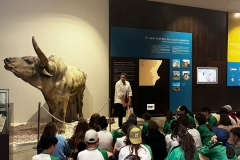 English_School_los_olivos_valltorta_2026-1