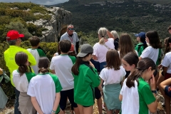 English_School_los_olivos_valltorta_2026-8