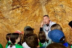 English_School_los_olivos_valltorta_2026-9