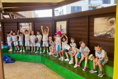 English_School_los_olivos_Villaldea_26-1