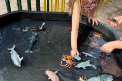 English_School_los_olivos_water_day_26-9