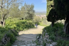 05-Excursion-Xativa-English-School-Los-Olivos