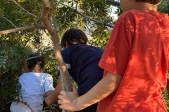 English_School_los_olivos_olocau_y3_y4-12