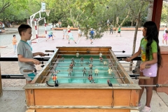 English_School_los_olivos_olocau_y3_y4-14