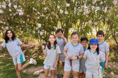 English_School_los_olivos_olocau_y3_y4-21