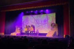 Los-Olivos-y3Y4_Flumen