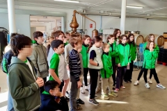 Year-7-visita-un-productor-ecológico